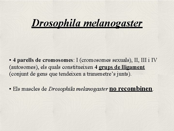 Drosophila melanogaster • 4 parells de cromosomes: I (cromosomes sexuals), III i IV (autosomes),