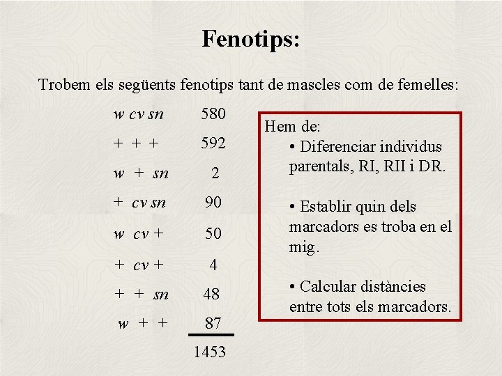 Fenotips: Trobem els següents fenotips tant de mascles com de femelles: w cv sn