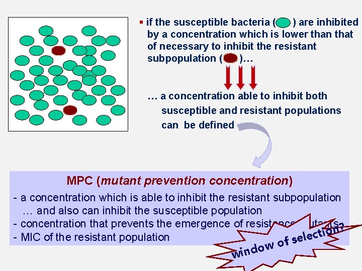 § if the susceptible bacteria ( ) are inhibited by a concentration which is