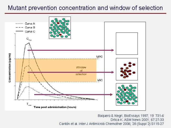 Mutant prevention concentration and window of selection Baquero & Negri. Bio. Essays 1997; 19: