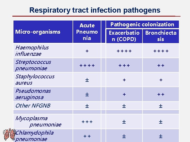 Respiratory tract infection pathogens Micro-organisms Haemophilus influenzae Streptococcus pneumoniae Staphylococcus aureus Pseudomonas aeruginosa Other