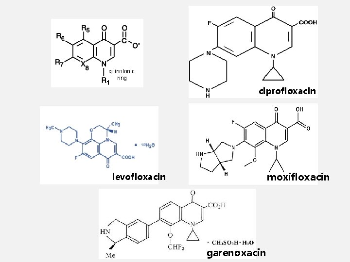 quinolonic ring ciprofloxacin moxifloxacin levofloxacin garenoxacin 