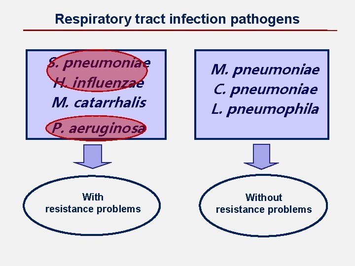 Respiratory tract infection pathogens S. pneumoniae H. influenzae M. catarrhalis P. aeruginosa With resistance