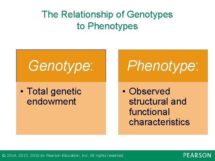 The Relationship of Genotypes to Phenotypes Genotype: • Total genetic endowment Phenotype: • Observed