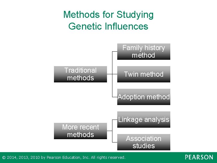 Methods for Studying Genetic Influences Family history method Traditional methods Twin method Adoption method