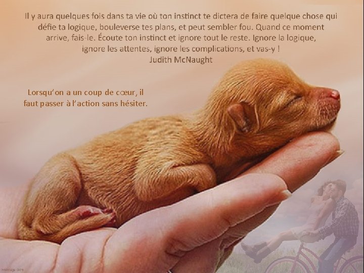 Lorsqu’on a un coup de cœur, il faut passer à l’action sans hésiter. Lorsqu’on a un coup de cœur, il faut passer à l’action sans hésiter.