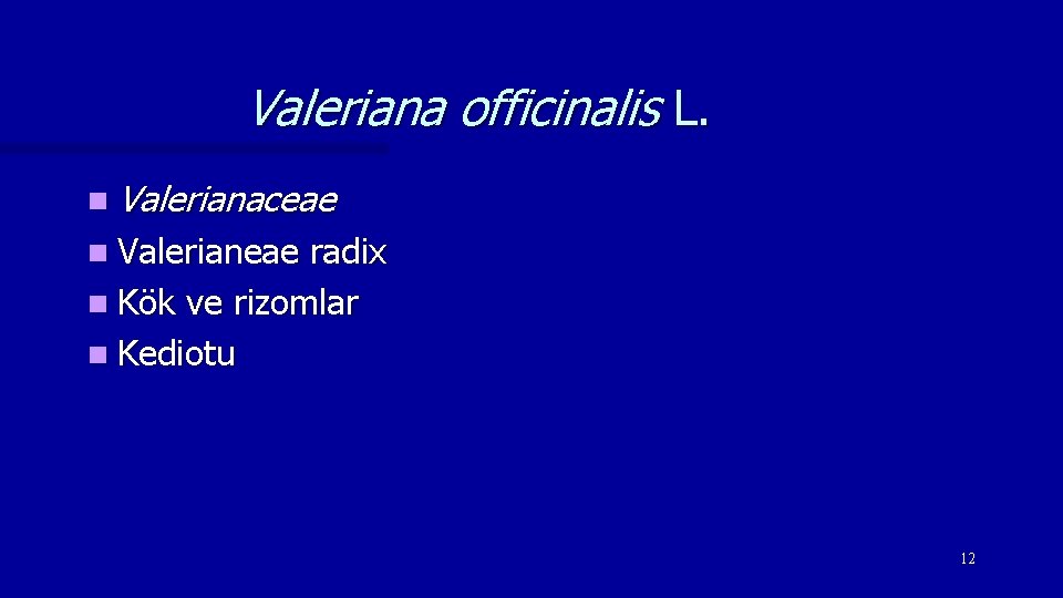 Valeriana officinalis L. n Valerianaceae n Valerianeae radix n Kök ve rizomlar n Kediotu