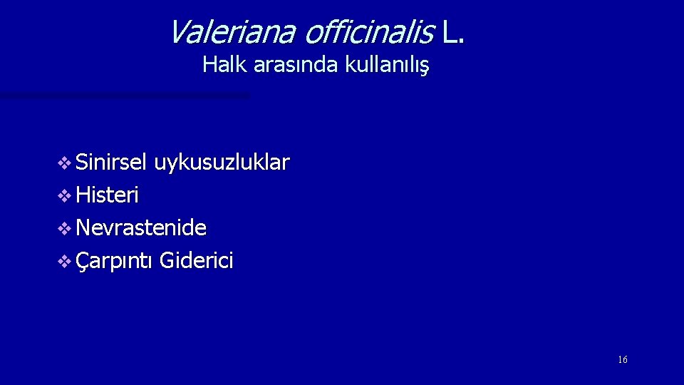 Valeriana officinalis L. Halk arasında kullanılış v Sinirsel uykusuzluklar v Histeri v Nevrastenide v
