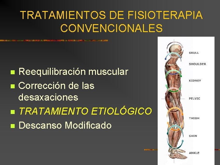 TRATAMIENTOS DE FISIOTERAPIA CONVENCIONALES n n Reequilibración muscular Corrección de las desaxaciones TRATAMIENTO ETIOLÓGICO