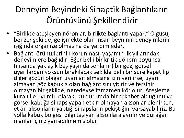 Deneyim Beyindeki Sinaptik Bağlantıların Örüntüsünü Şekillendirir • “Birlikte ateşleyen nöronlar, birlikte bağlantı yapar. ”