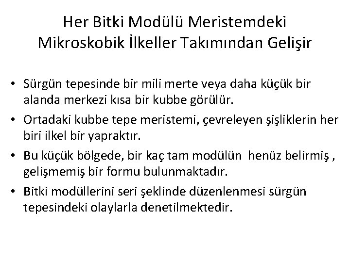 Her Bitki Modülü Meristemdeki Mikroskobik İlkeller Takımından Gelişir • Sürgün tepesinde bir mili merte