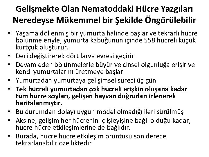 Gelişmekte Olan Nematoddaki Hücre Yazgıları Neredeyse Mükemmel bir Şekilde Öngörülebilir • Yaşama döllenmiş bir