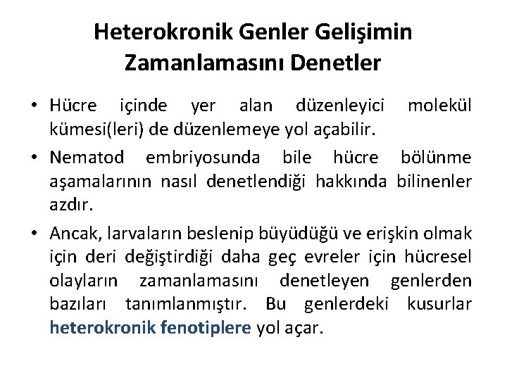 Heterokronik Genler Gelişimin Zamanlamasını Denetler • Hücre içinde yer alan düzenleyici molekül kümesi(leri) de