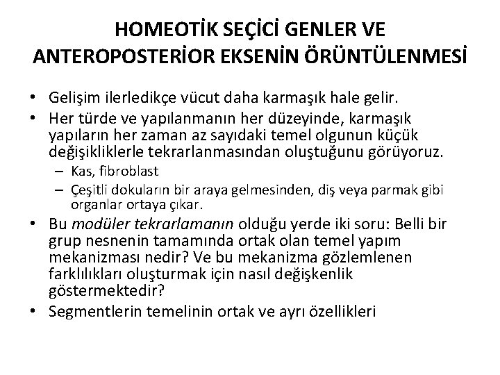 HOMEOTİK SEÇİCİ GENLER VE ANTEROPOSTERİOR EKSENİN ÖRÜNTÜLENMESİ • Gelişim ilerledikçe vücut daha karmaşık hale