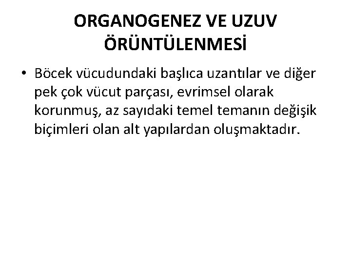ORGANOGENEZ VE UZUV ÖRÜNTÜLENMESİ • Böcek vücudundaki başlıca uzantılar ve diğer pek çok vücut
