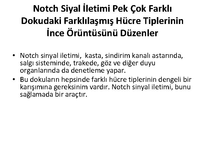 Notch Siyal İletimi Pek Çok Farklı Dokudaki Farklılaşmış Hücre Tiplerinin İnce Örüntüsünü Düzenler •