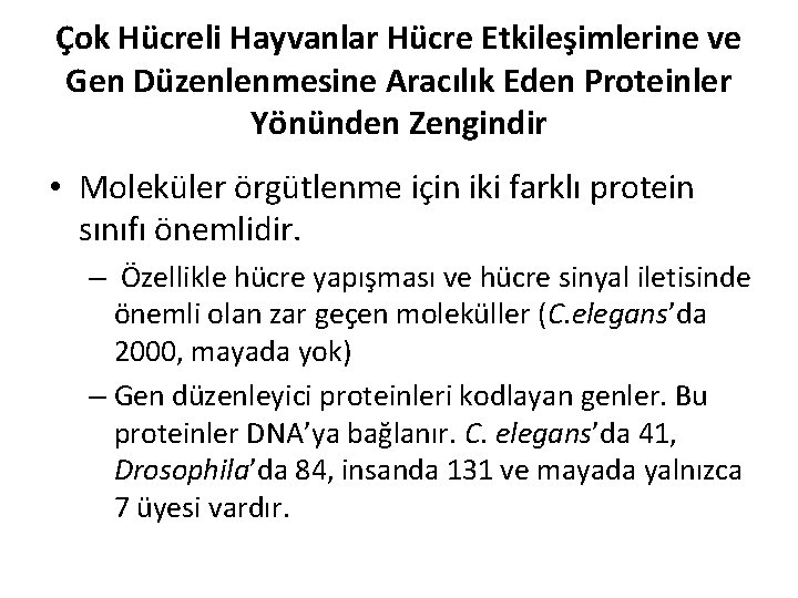 Çok Hücreli Hayvanlar Hücre Etkileşimlerine ve Gen Düzenlenmesine Aracılık Eden Proteinler Yönünden Zengindir •