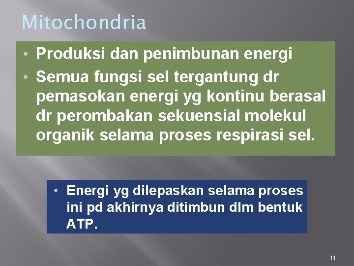 Mitochondria • Produksi dan penimbunan energi • Semua fungsi sel tergantung dr pemasokan energi