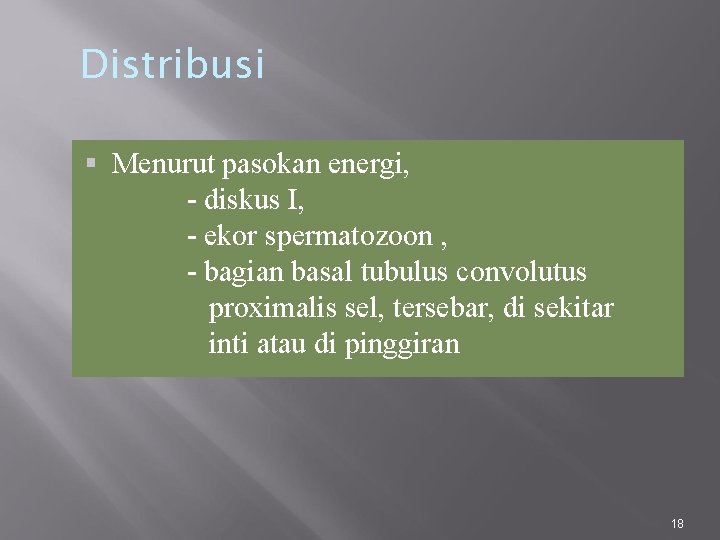 Distribusi Menurut pasokan energi, - diskus I, - ekor spermatozoon , - bagian basal