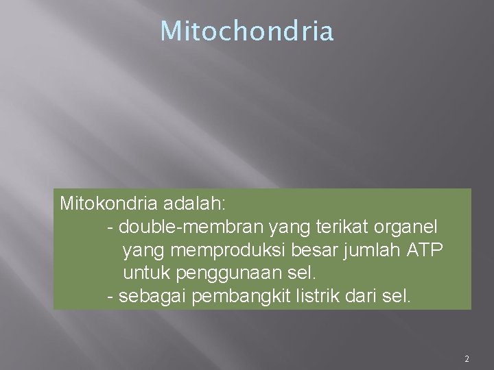 Mitochondria Mitokondria adalah: - double-membran yang terikat organel yang memproduksi besar jumlah ATP untuk