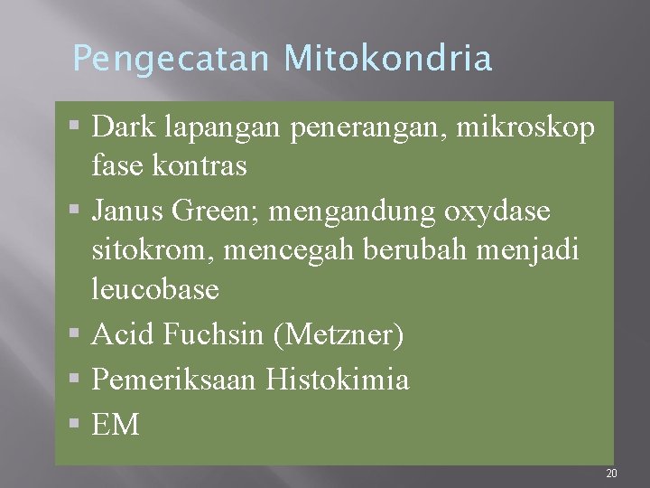 Pengecatan Mitokondria Dark lapangan penerangan, mikroskop fase kontras Janus Green; mengandung oxydase sitokrom, mencegah