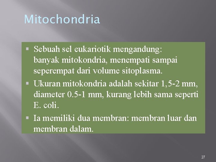 Mitochondria Sebuah sel eukariotik mengandung: banyak mitokondria, menempati sampai seperempat dari volume sitoplasma. Ukuran