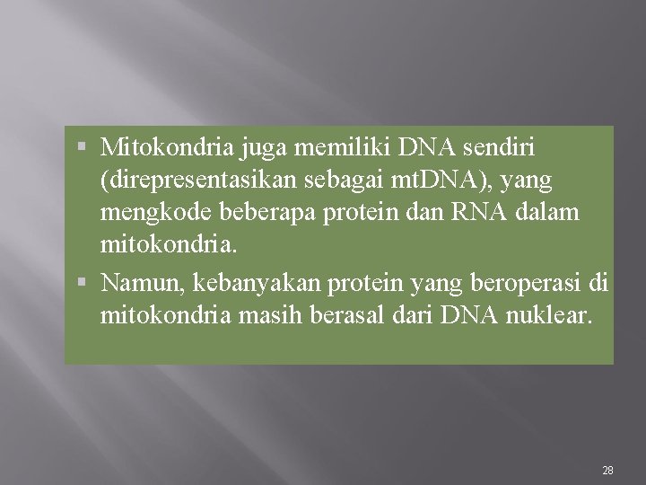 Mitokondria juga memiliki DNA sendiri (direpresentasikan sebagai mt. DNA), yang mengkode beberapa protein