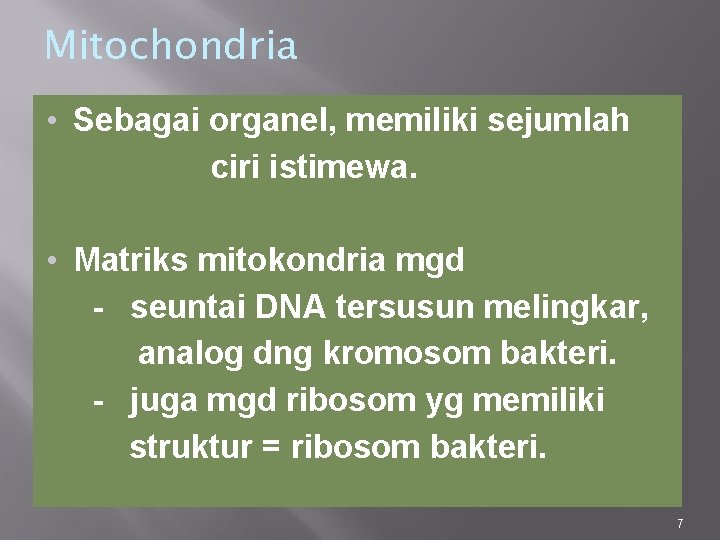 Mitochondria • Sebagai organel, memiliki sejumlah ciri istimewa. • Matriks mitokondria mgd - seuntai