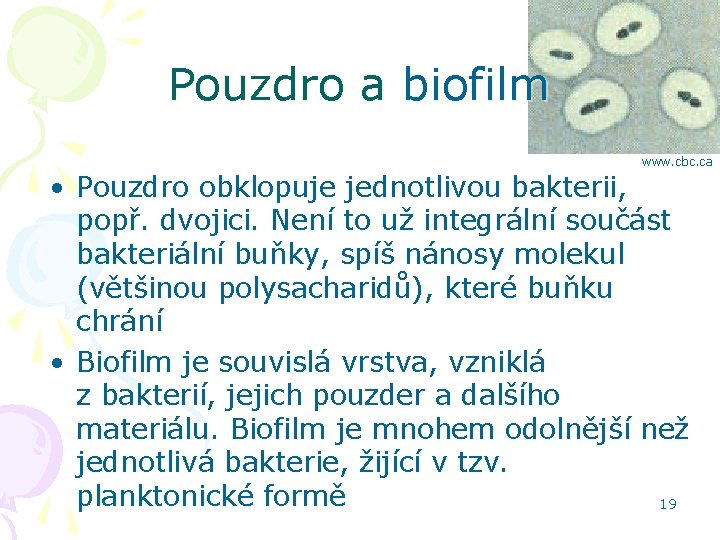 Pouzdro a biofilm www. cbc. ca • Pouzdro obklopuje jednotlivou bakterii, popř. dvojici. Není