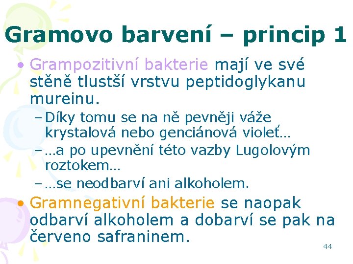 Gramovo barvení – princip 1 • Grampozitivní bakterie mají ve své stěně tlustší vrstvu