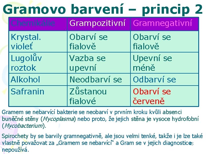 Gramovo barvení – princip 2 Chemikálie Grampozitivní Gramnegativní Krystal. violeť Lugolův roztok Alkohol Obarví