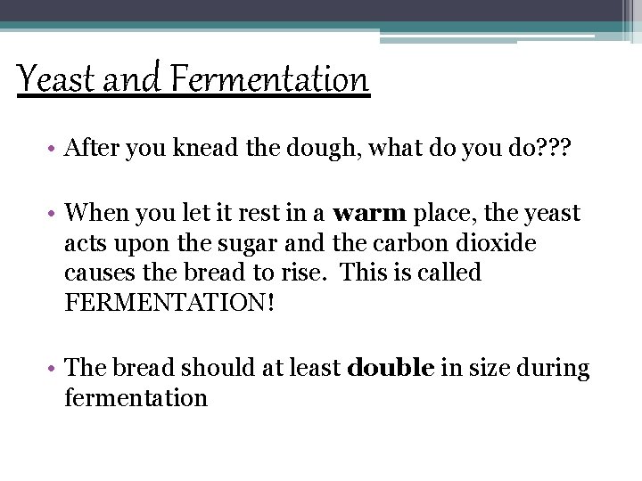 Yeast and Fermentation • After you knead the dough, what do you do? ?