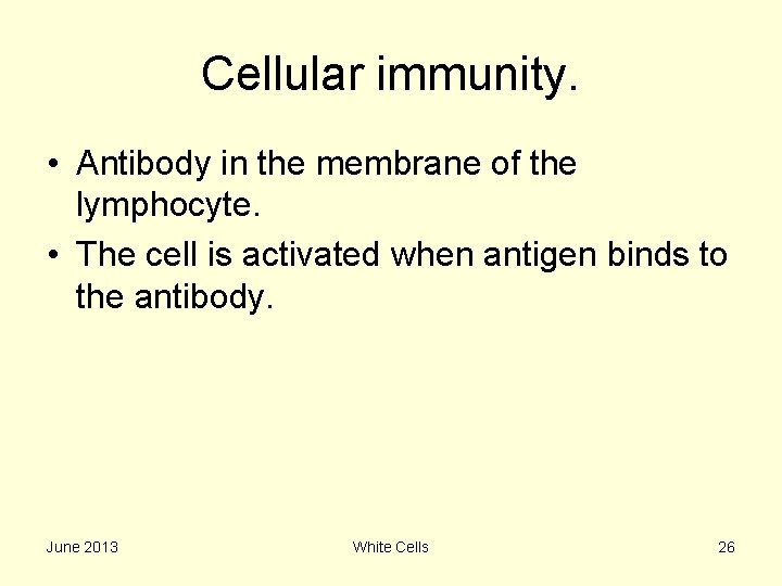 Cellular immunity. • Antibody in the membrane of the lymphocyte. • The cell is