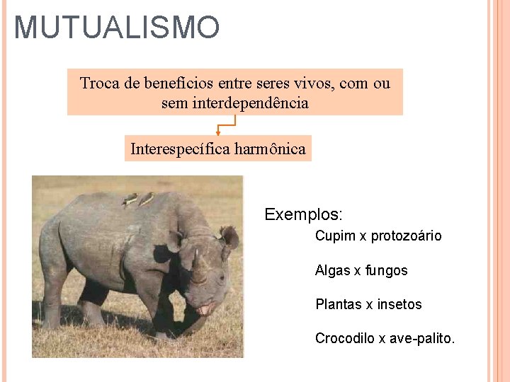 MUTUALISMO Troca de benefícios entre seres vivos, com ou sem interdependência Interespecífica harmônica Exemplos: