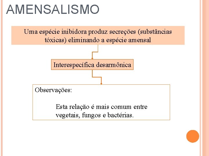 AMENSALISMO Uma espécie inibidora produz secreções (substâncias tóxicas) eliminando a espécie amensal Interespecífica desarmônica