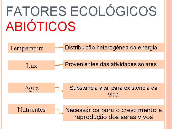 FATORES ECOLÓGICOS ABIÓTICOS Temperatura Luz Distribuição heterogênea da energia Provenientes das atividades solares Água