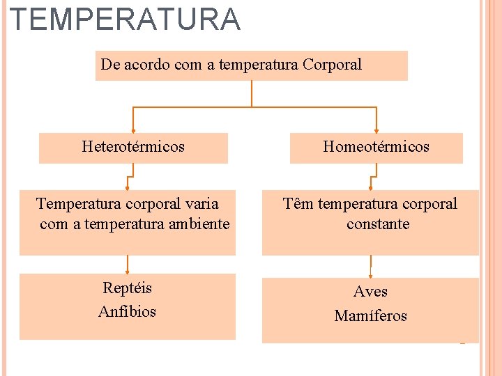 TEMPERATURA De acordo com a temperatura Corporal Heterotérmicos Temperatura corporal varia com a temperatura