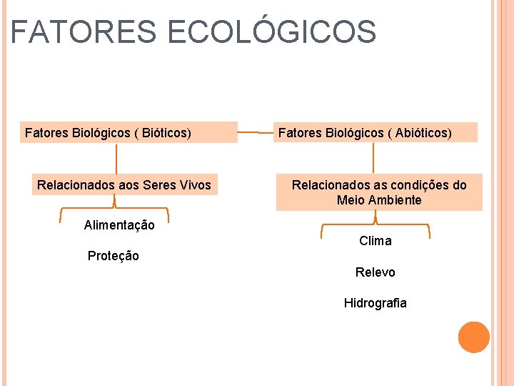 FATORES ECOLÓGICOS Fatores Biológicos ( Bióticos) Relacionados aos Seres Vivos Fatores Biológicos ( Abióticos)