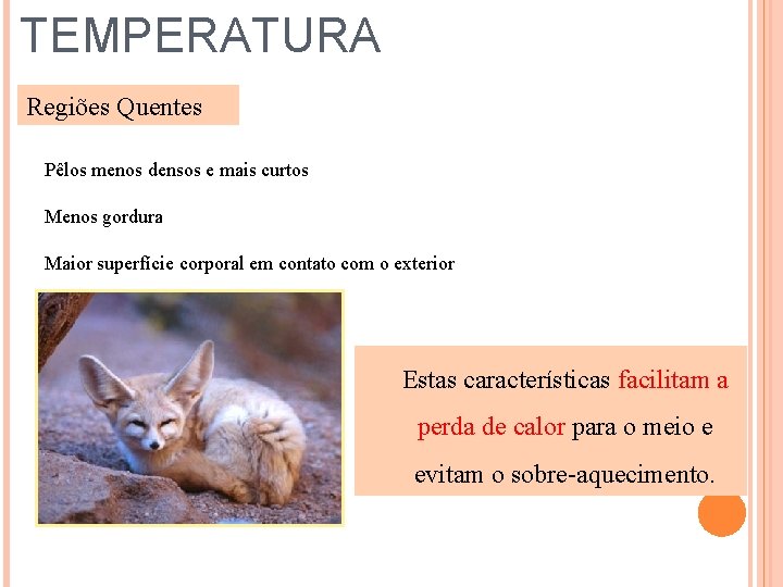 TEMPERATURA Regiões Quentes Pêlos menos densos e mais curtos Menos gordura Maior superfície corporal
