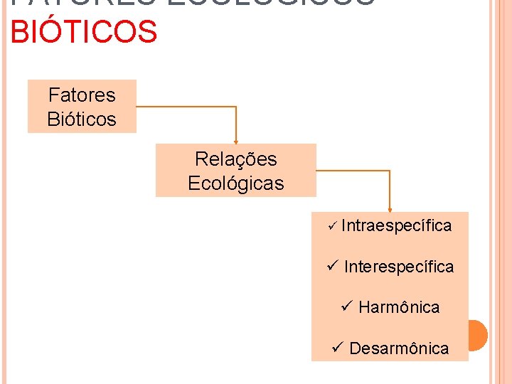 FATORES ECOLÓGICOS BIÓTICOS Fatores Bióticos Relações Ecológicas ü Intraespecífica ü Interespecífica ü Harmônica ü