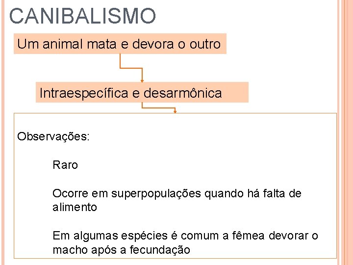 CANIBALISMO Um animal mata e devora o outro Intraespecífica e desarmônica Observações: Raro Ocorre