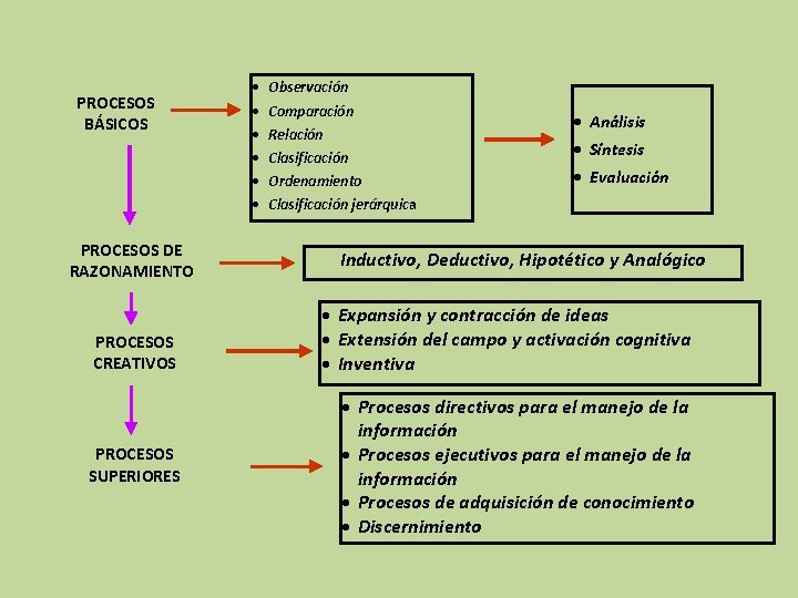 PROCESOS BÁSICOS PROCESOS DE RAZONAMIENTO PROCESOS CREATIVOS PROCESOS SUPERIORES · Observación · · ·