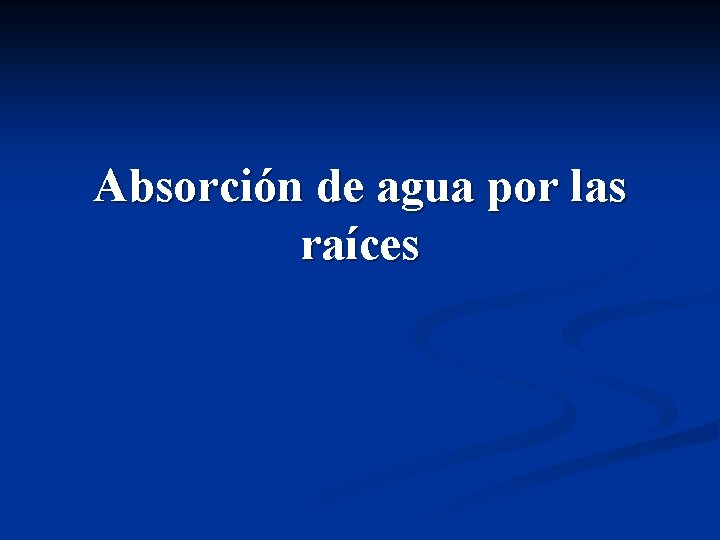 Absorción de agua por las raíces Absorción de agua por las raíces