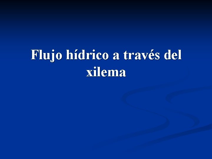 Flujo hídrico a través del xilema Flujo hídrico a través del xilema
