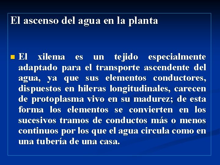 El ascenso del agua en la planta n El xilema es un tejido especialmente El ascenso del agua en la planta n El xilema es un tejido especialmente