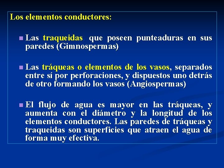 Los elementos conductores: n Las traqueidas, que poseen punteaduras en sus paredes (Gimnospermas) n Los elementos conductores: n Las traqueidas, que poseen punteaduras en sus paredes (Gimnospermas) n