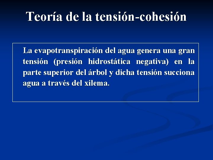 Teoría de la tensión-cohesión La evapotranspiración del agua genera una gran tensión (presión hidrostática Teoría de la tensión-cohesión La evapotranspiración del agua genera una gran tensión (presión hidrostática