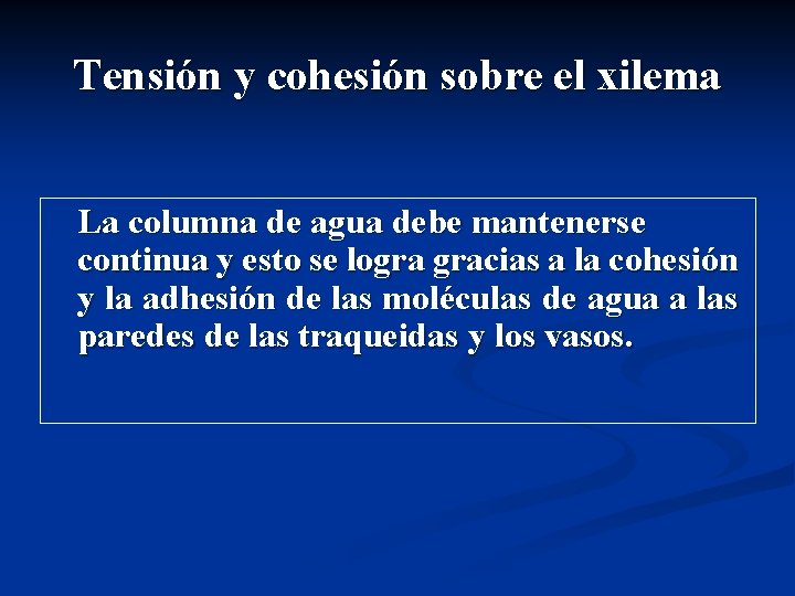 Tensión y cohesión sobre el xilema La columna de agua debe mantenerse continua y Tensión y cohesión sobre el xilema La columna de agua debe mantenerse continua y