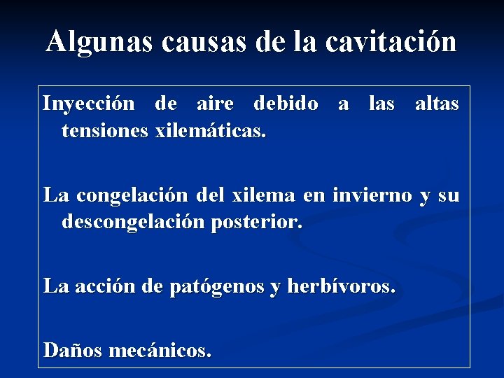 Algunas causas de la cavitación Inyección de aire debido a las altas tensiones xilemáticas. Algunas causas de la cavitación Inyección de aire debido a las altas tensiones xilemáticas.