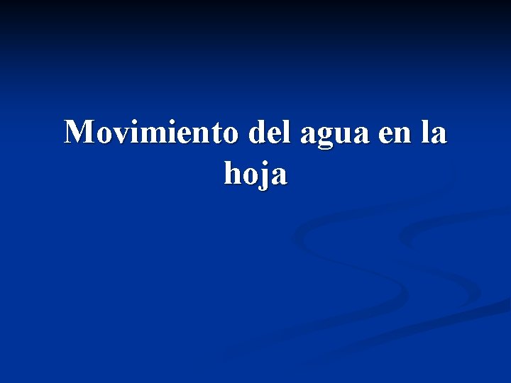 Movimiento del agua en la hoja Movimiento del agua en la hoja